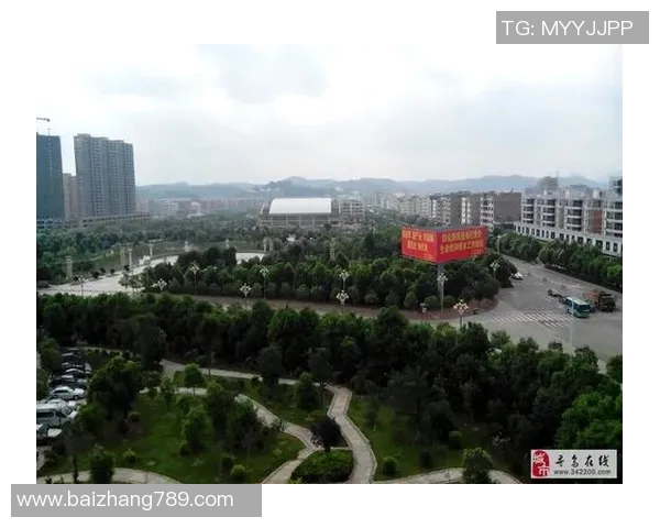 寻乌篮球明星全景盘点及其成就回顾详解