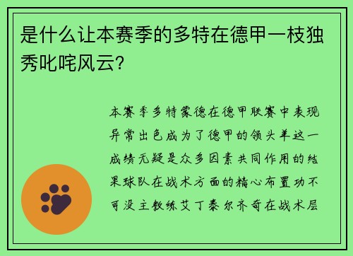 是什么让本赛季的多特在德甲一枝独秀叱咤风云？